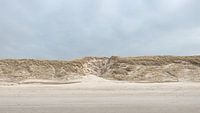 Beach and dunes at Callantsoog 2