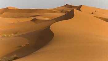 Reis naar de Sahara woestijn in Marokko