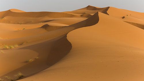 Reis naar de Sahara woestijn in Marokko