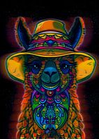 alpaca