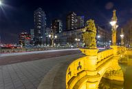 Rotterdam, Regentessebrug van Guido Akster thumbnail