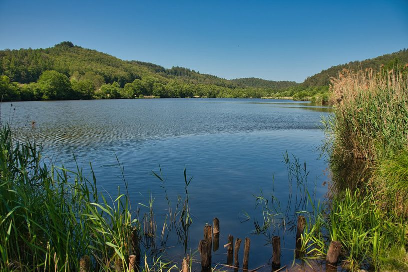 Vogesensee von Tanja Voigt