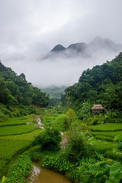 Bergdorpje in Pu Luong, Vietnam