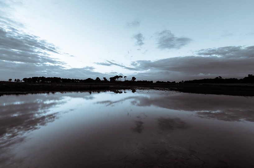 Strabrechtse Heide 135 by Deshamer