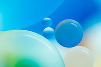 Circles | abstract
