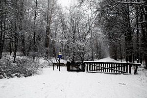 Landgoed Ennemaborgh in wintersfeer