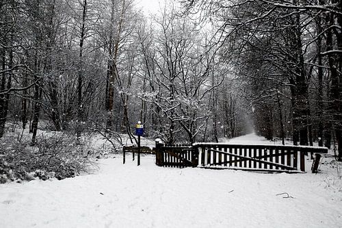 Landgoed Ennemaborgh in wintersfeer
