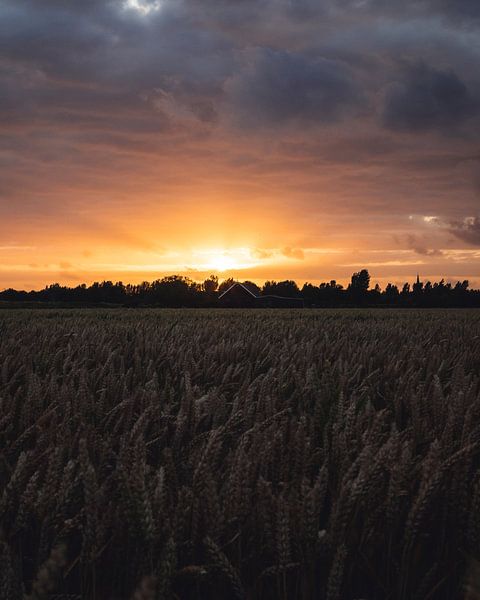 Sonnenuntergang über Getreidefeld von Joren van den Bos