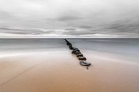 Silent coast