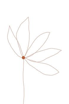 Delicate bloem