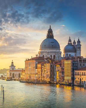 Santa Maria della Salute kerk in het Canal Grande, Venetië van Stefano Orazzini