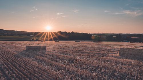 La période des récoltes sur Steffen Peters