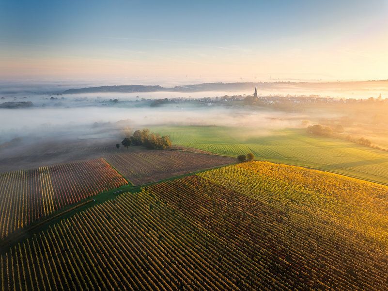 Drone view of Golden Sunrise Over Foggy Fields and Vineyards in South Limburg in Netherlands by Arda Acar