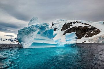 De ijsbergen van Antarctica van Roland Brack