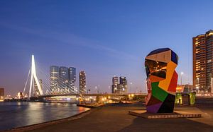 Skyline van Rotterdam , Erasmusbrug. van Lorena Cirstea