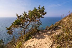 Hochuferweg am Dornbusch auf der Insel Hiddensee