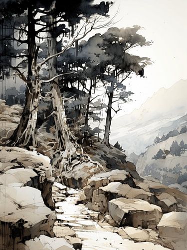 Bos Bergen Rotsen Pad Bergen Landschap Eenzaamheid