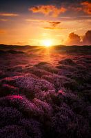 Sunrise on Texel