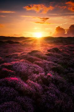 Sonnenaufgang auf Texel von Rob Sprenger