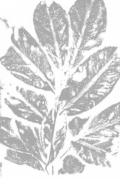 Branch with leaves in retro style. Modern botanical minimalist art in grey and white by Dina Dankers
