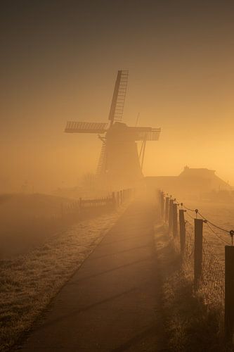 Ochtendmist bij molen Koningslaagte in gouden licht