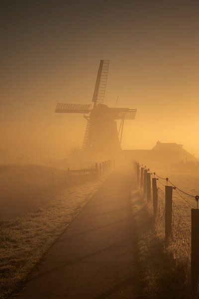 Morgennebel an der Mühle Koningslaagte in goldenem Licht von KB Design & Photography (Karen Brouwer)