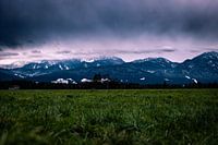 Alpine view