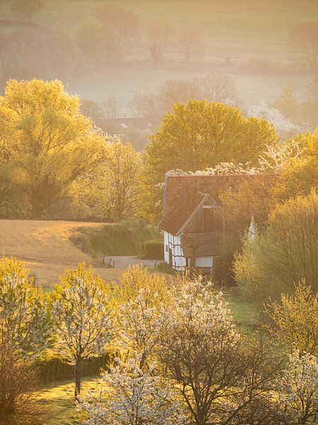 Hilly landscape of South Limburg by Bob Luijks