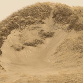 duin foto van de duinstrook vanaf het strand von Peter Buijsman