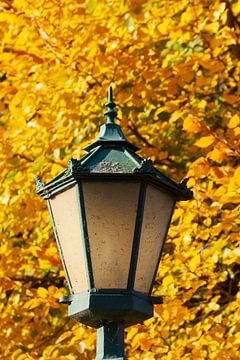 Straatlantaarn, lantaarn, herfstbladeren, Bremer Wallanlagen, Bremen, Duitsland