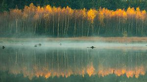 Mist on the water near Bakkeveen by Ron Buist