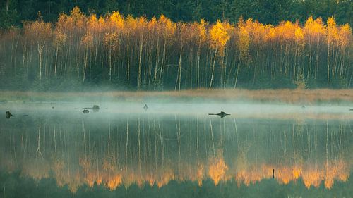 Brume sur l'eau près de Bakkeveen sur Ron Buist
