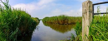 Panorama Brabantse Wal : Rivière dans le paysage sur Kristof Leffelaer