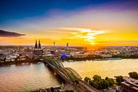 Cologne