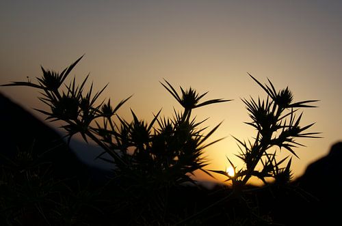 Provence. Zonsondergang
