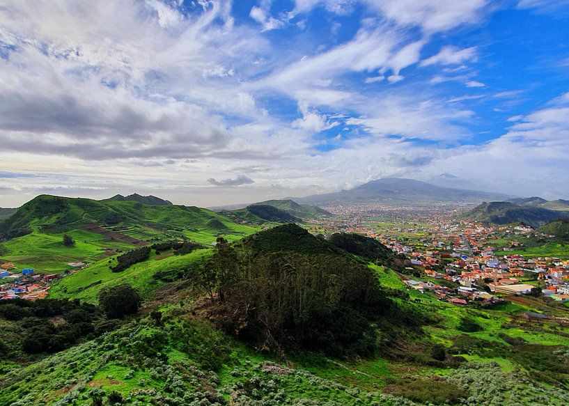 Panoramic view by zam art