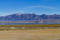 Crowley Lake van Easycopters thumbnail