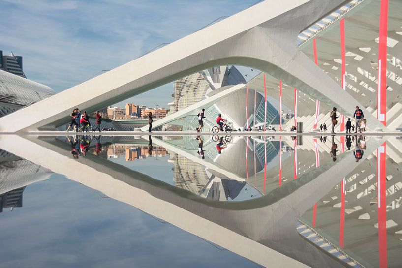 Spiegeling der wetenschap par Mark Leek