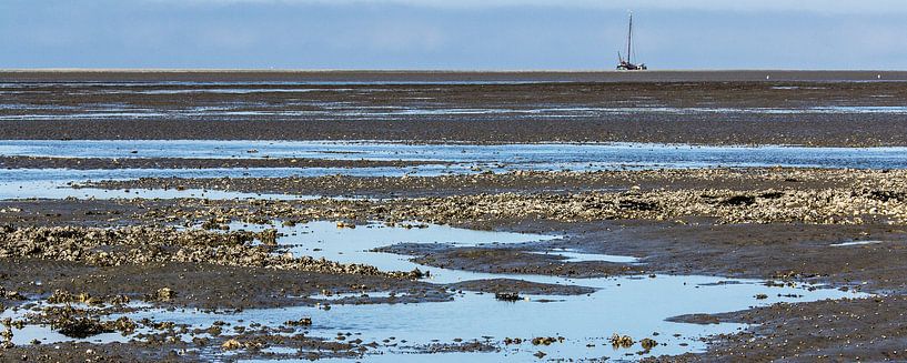 Waddenzee bij eb met oesterbanken en drooggevallen zeilschip van Meindert van Dijk