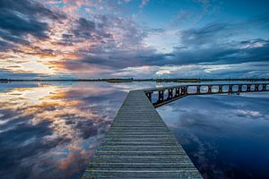 Der Fledermauspfad (Dannemeer)