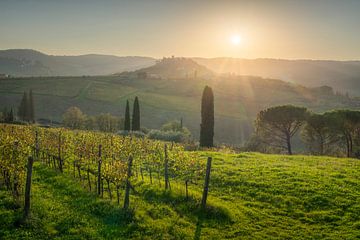 Wijngaarden en Kasteel van Vicchiomaggio, Chianti-streek van Stefano Orazzini