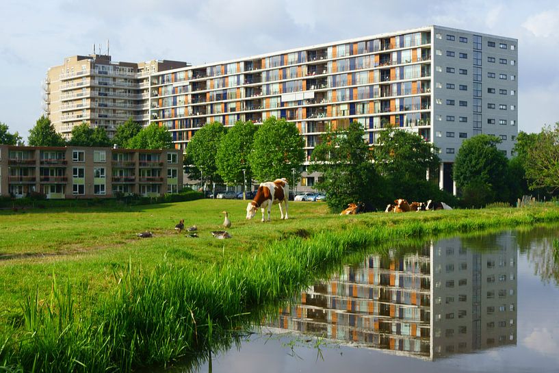 Holland by Michel van Kooten