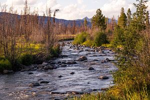 Riviertje in Colorado van Louise Poortvliet