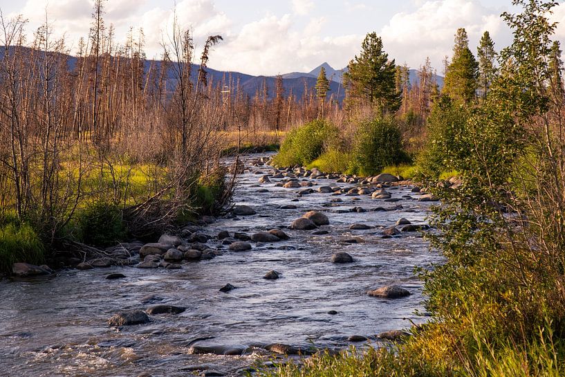 River in Colorado by Louise Poortvliet