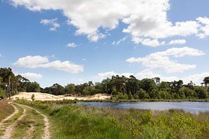 Natuurgebied de Kampina