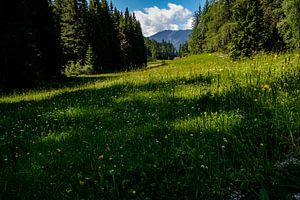 Schatten- und Sonnenspektakel in den Alpen