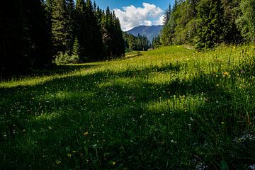 Schaduw en zon schouwspel in de Alpen