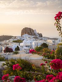 Maisons blanches et fleurs de bougainvilliers roses sur l'île d'Amorgos en Grèce sur Teun Janssen
