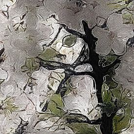 März 2026. Bäume in Weiß. von Marianna Pobedimova