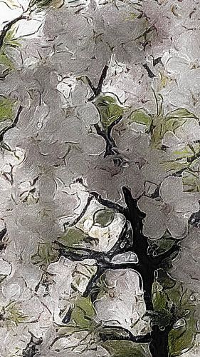 März 2026. Bäume in Weiß. von Marianna Pobedimova